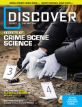 Discover November /December 2021
