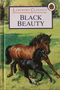 Image of Ladybird Classics : Black Beauty