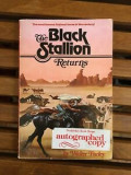 The Black Stallion : Returns