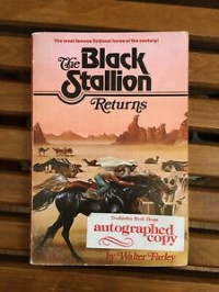 Image of The Black Stallion : Returns