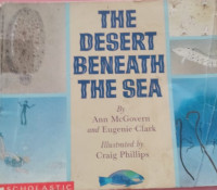 Image of The Desert Beneath the Sea