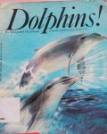 Dolphins`