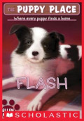 The puppy Place where every puppy finds a home : Flash