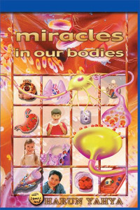 Image of Miracles in our Bodies