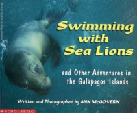 Image of Swimming With Sea Lions