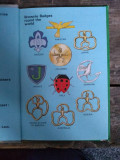 BROWNIE GUIDES