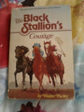 The Black Stallion's : Courage