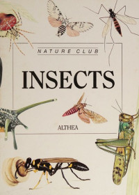 Image of Insects and other small  creatures