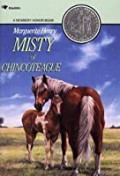 MISTY OF CHINCOTEAGUE