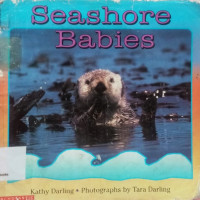 Image of Sea Shore Babies