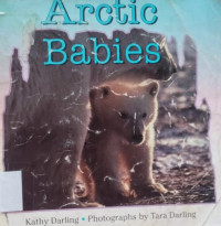 Image of Arctic Babies